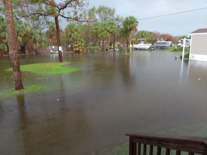 Merritt Island Village 55+ Picture 6