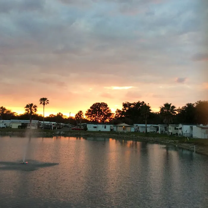 Palm View Gardens RV Resort Picture 4