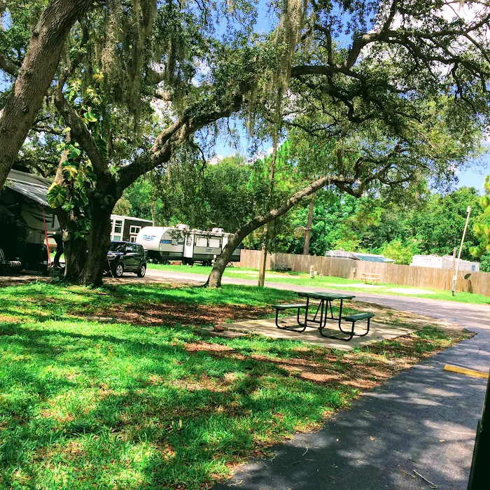 Caladesi RV Park & Propane Picture 5