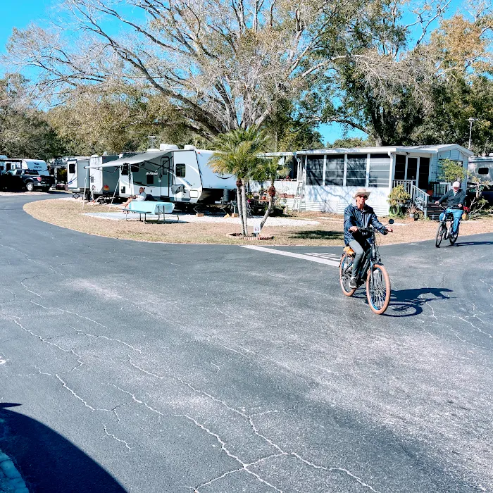 Caladesi RV Park & Propane Picture 2