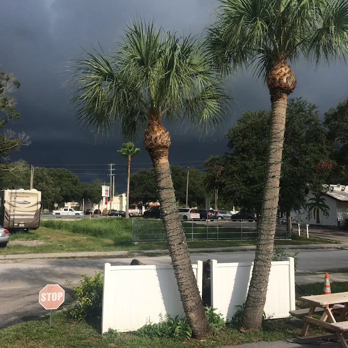 Caladesi RV Park & Propane Picture 10