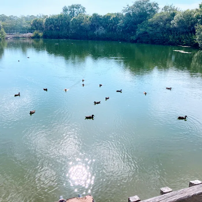 Caladesi RV Park & Propane Picture 9