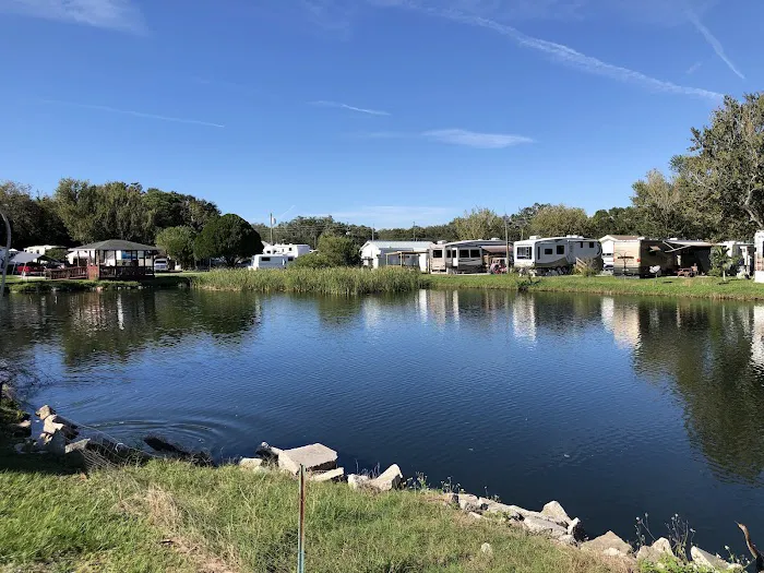 Sherwood Forest RV Resort Picture 6