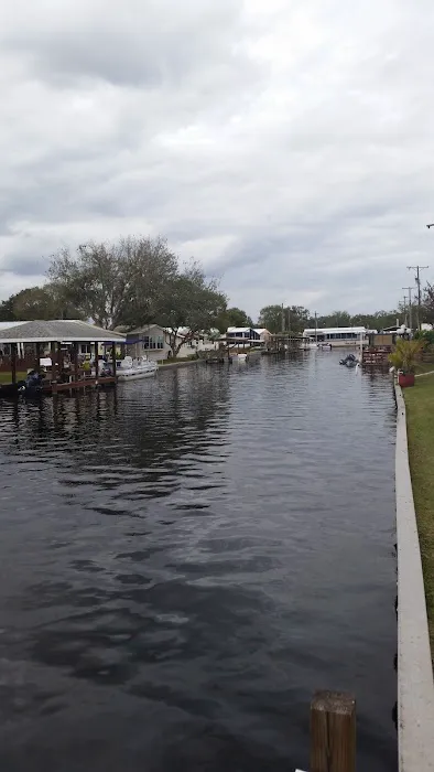 Palm Shores Mobile Village Picture 7