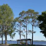 Palm Shores Mobile Village