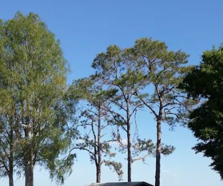 Palm Shores Mobile Village