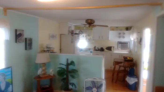 Palm Shores Mobile Village Picture 10