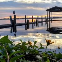Ripley's Sunrise Cove ico