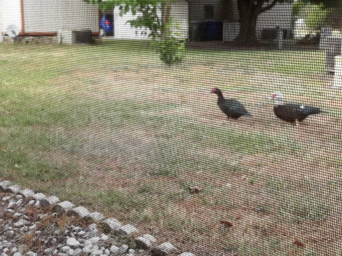 Sugar Mill Mobile Home Park Picture 6