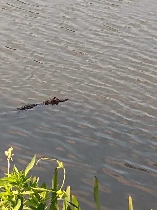 Sugar Mill Mobile Home Park Picture 9