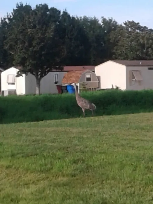 Sugar Mill Mobile Home Park Picture 7