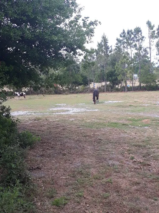 Sugar Mill Mobile Home Park Picture 8