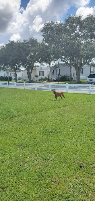 Covington Estates Picture 5
