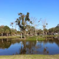 East Lake Fish Camp ico