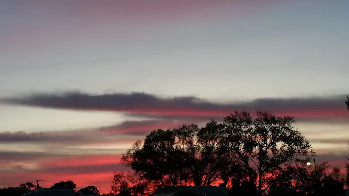 Space Coast RV Resort Picture 8