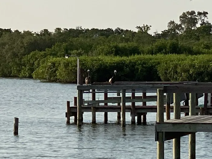 Carver's Cove RV Resort Picture 10