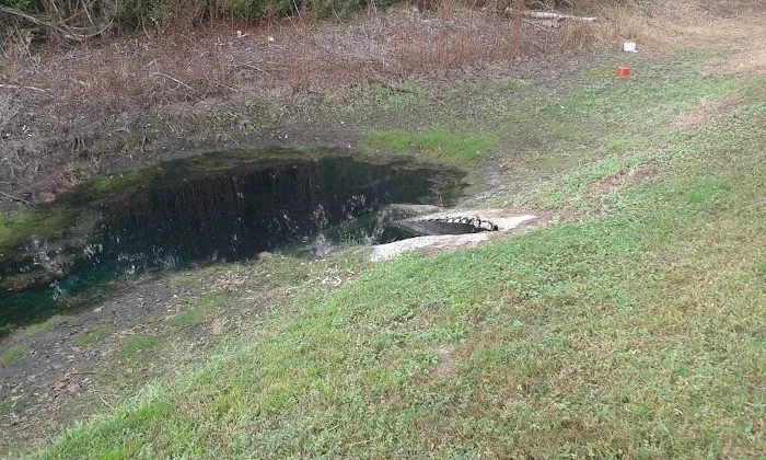 Emerald Pointe RV Resort Picture 4