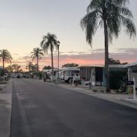 Honeymoon Mobile Home Park ico