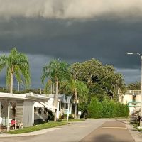 Doral Village ico