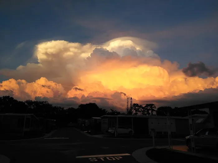 Doral Village Picture 7