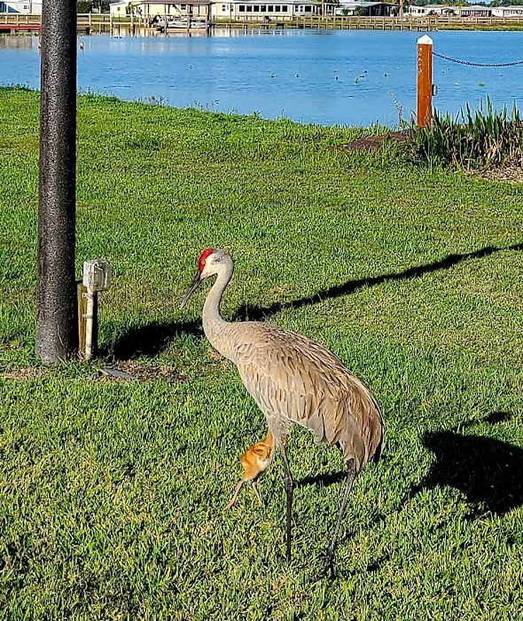 Lake Region Village Picture 6