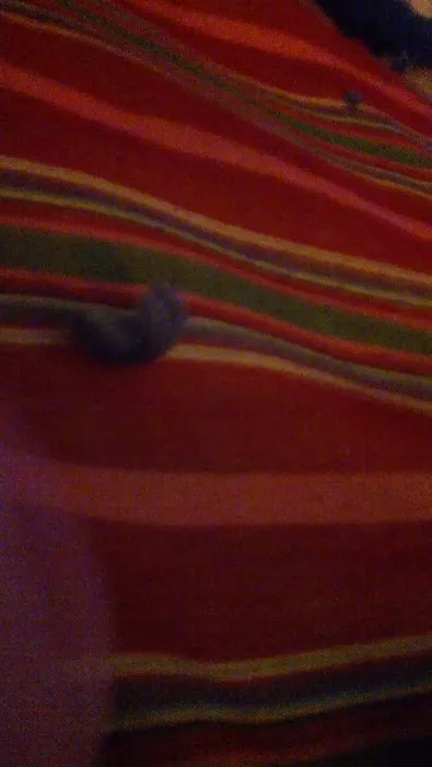 No Picture 9