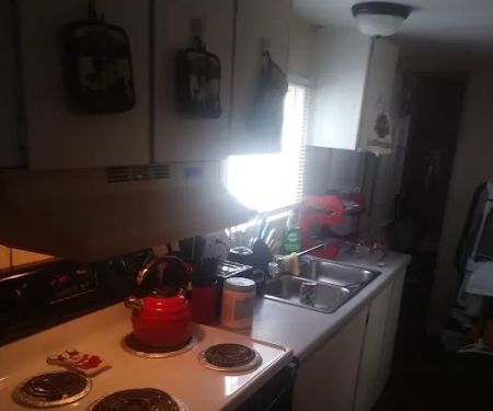 21 PALMS Travel Resort