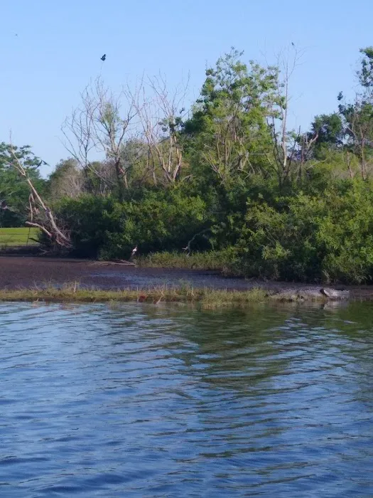 Jade Isle MHC Picture 3