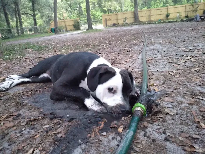 Colonial Mobile Home Park Picture 2