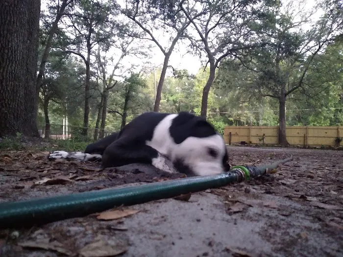 Colonial Mobile Home Park Picture 10