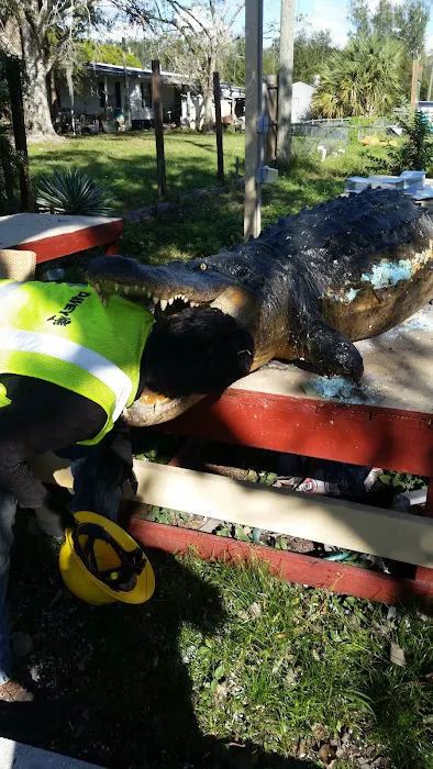 Colonial Mobile Home Park Picture 7