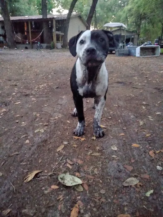 Colonial Mobile Home Park Picture 9