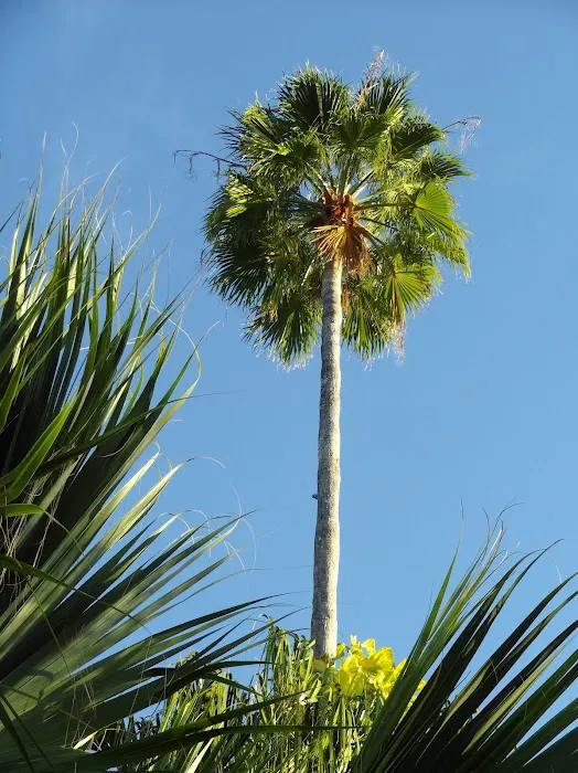 Shelter Cove Picture 6