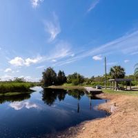 Floridian Sandalwood ico