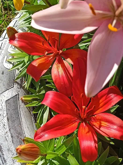 Paul's Friendly City Manufactured Home Picture 10