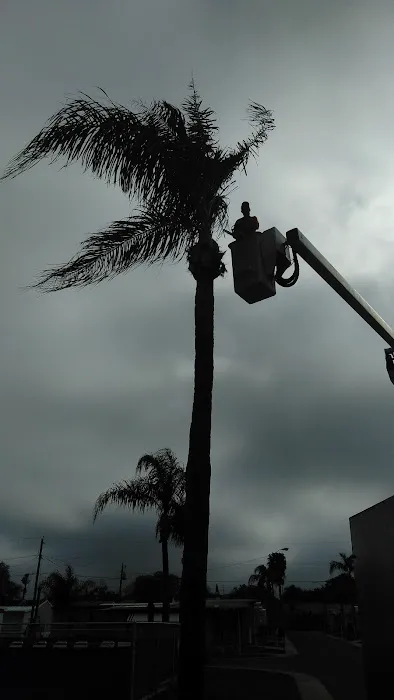 Dunedin Palms Mobile Home Park Picture 7