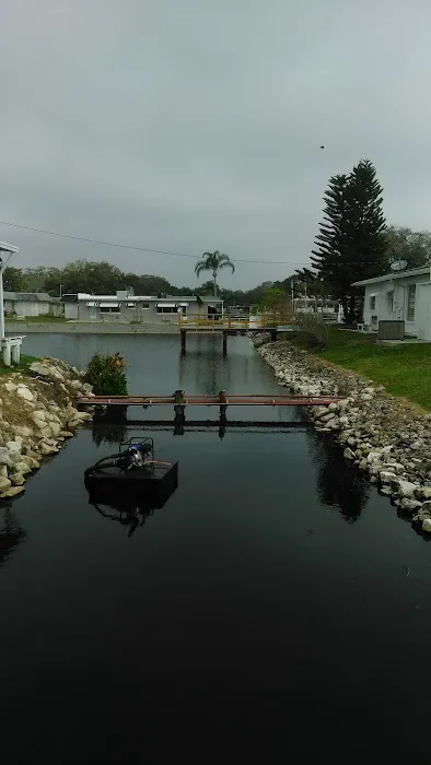Dunedin Palms Mobile Home Park Picture 8