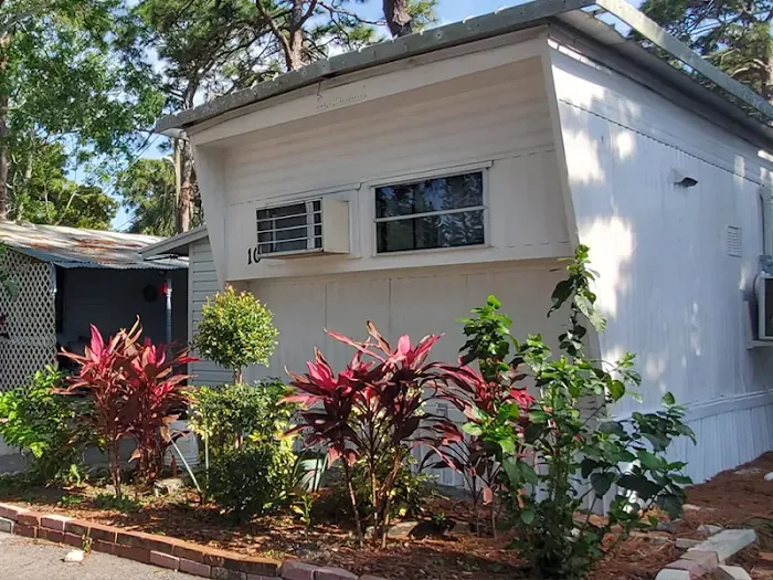 Safety Harbor Mobile Home Park | Safety Harbor, FL Picture 2