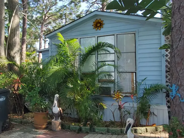 Safety Harbor Mobile Home Park | Safety Harbor, FL Picture 3