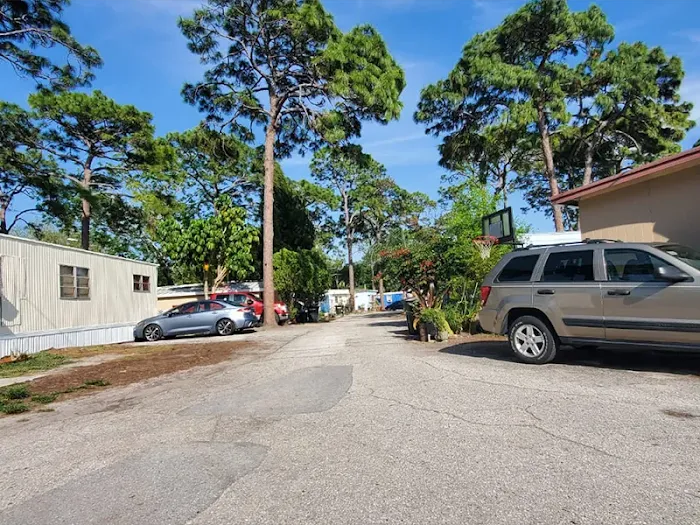 Safety Harbor Mobile Home Park | Safety Harbor, FL Picture 5