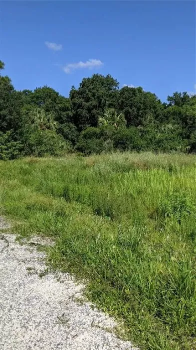 Patty's Trailer Park Picture 2