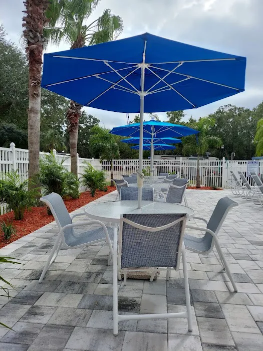 Southern Ducks RV Resort Picture 5