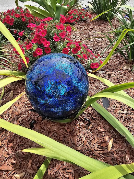 Southern Ducks RV Resort Picture 9