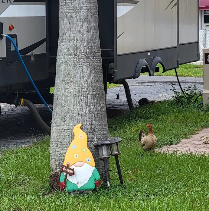 East Haven RV Park Picture 9