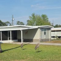 Cypress Gardens Mobile Home & RV Park ico