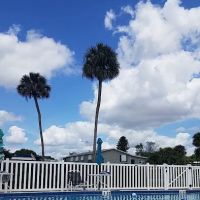 Dell Lake Village Mobile Home Community ico