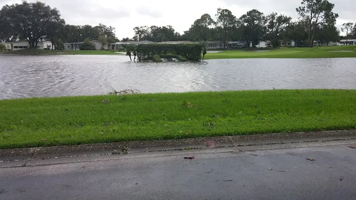 Hampton's Club House Picture 6
