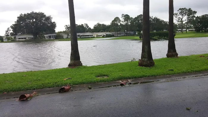Hampton's Club House Picture 2