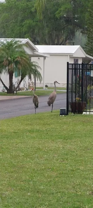 Central Leisure Lake Mobile Home & RV Park Picture 1