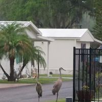 Central Leisure Lake Mobile Home & RV Park ico